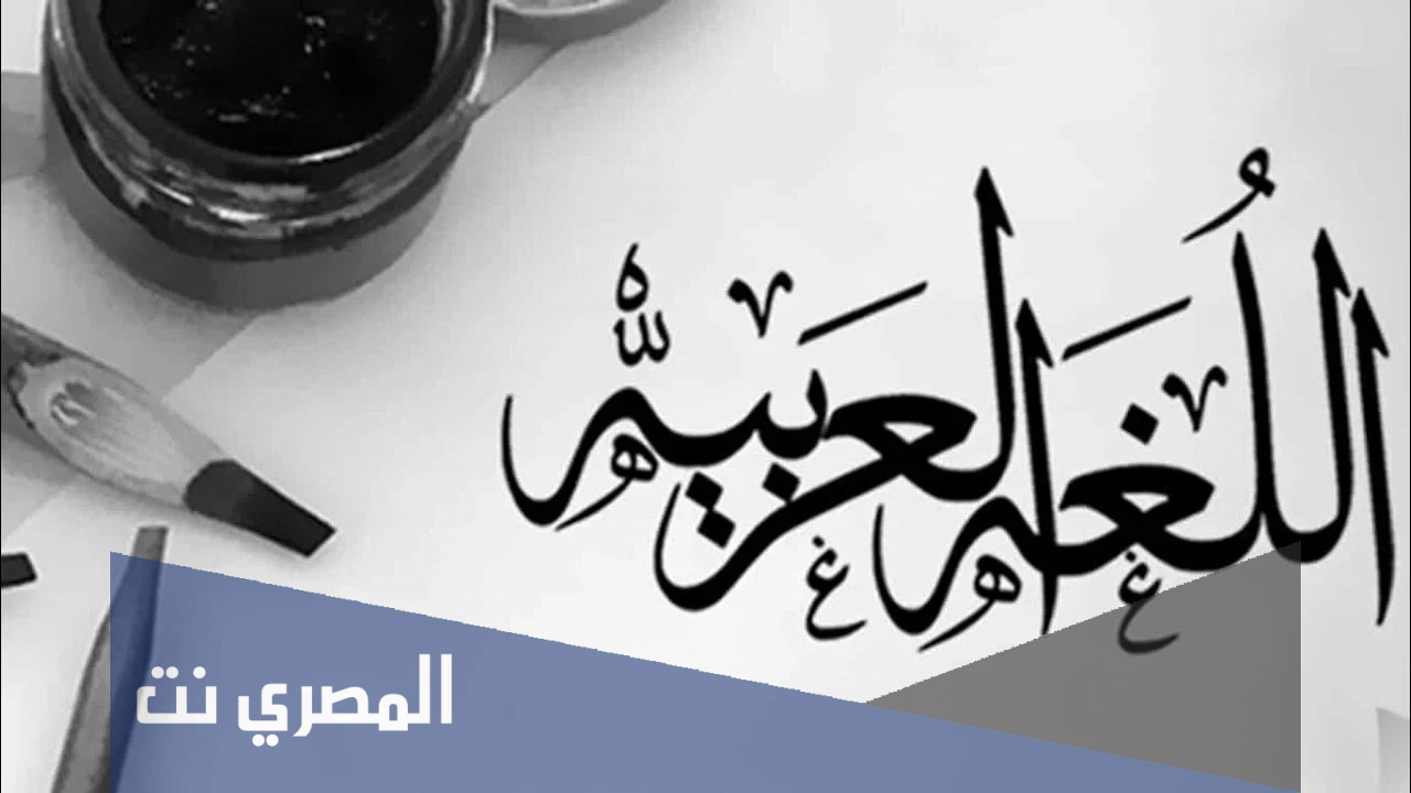 معلومات عن الشاعر نبيه سلامة
