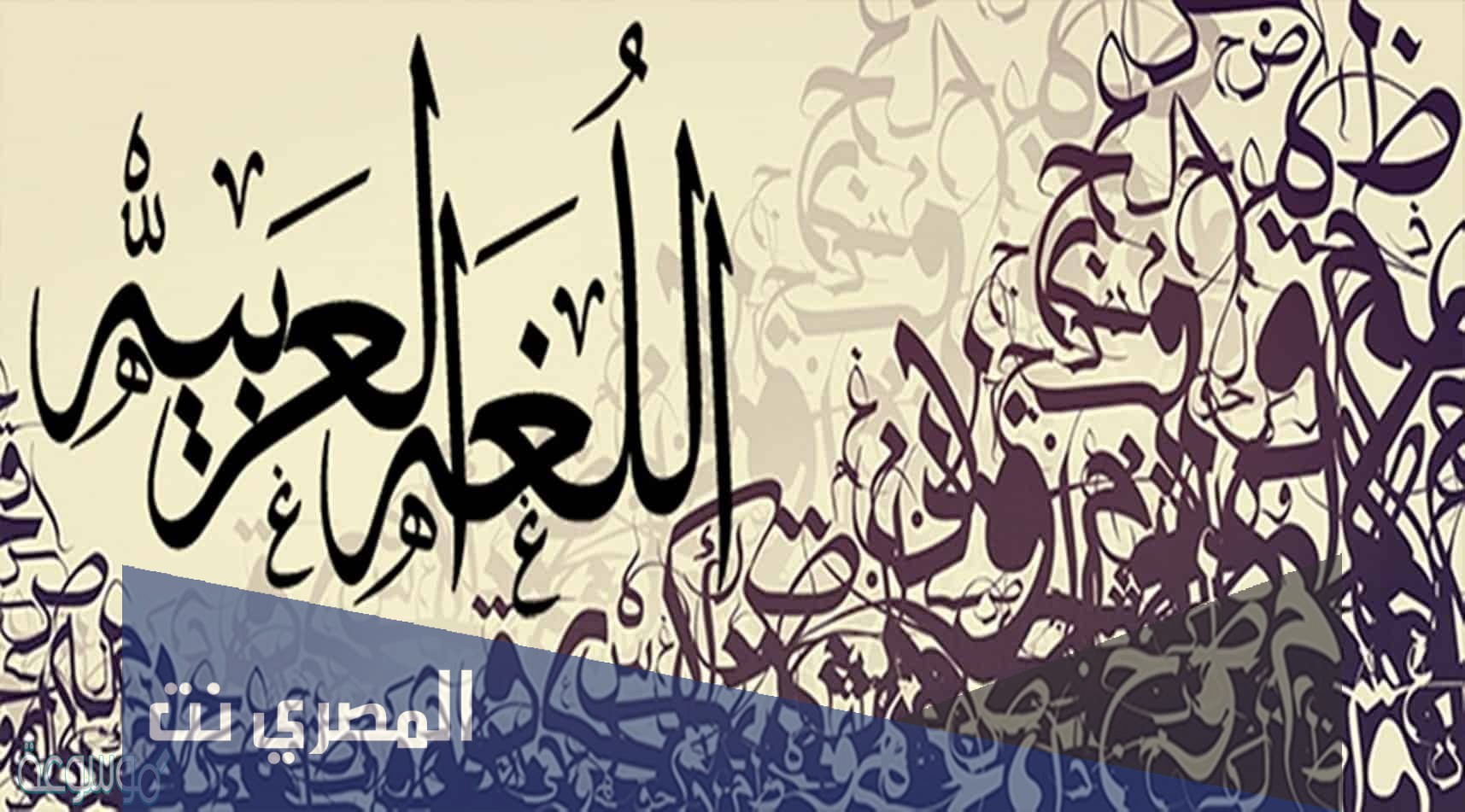 ما هي انواع المعارف في اللغة العربية