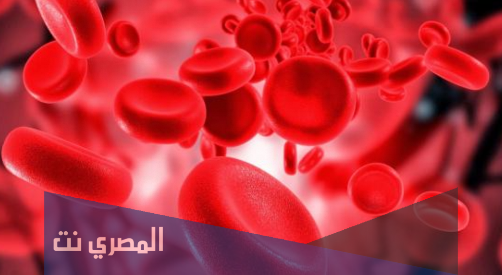 من اول من وصف كريات الدم الحمراء