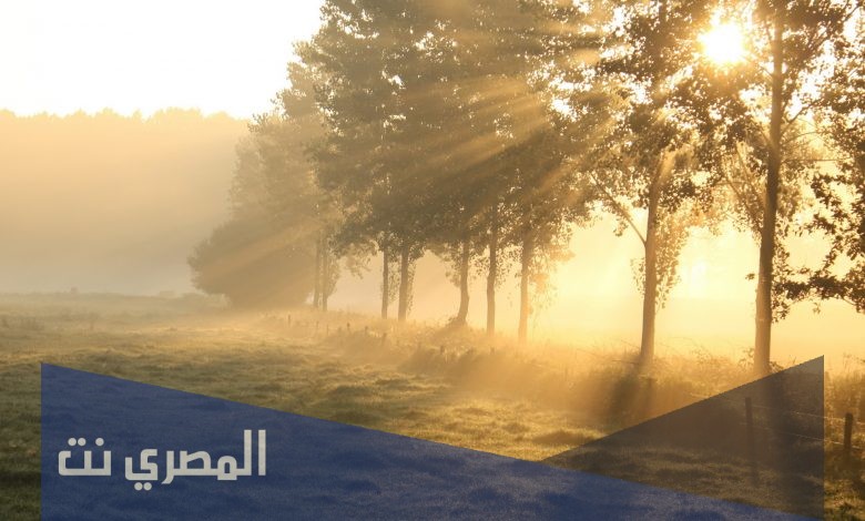 من صفات الآلهة الباطلة