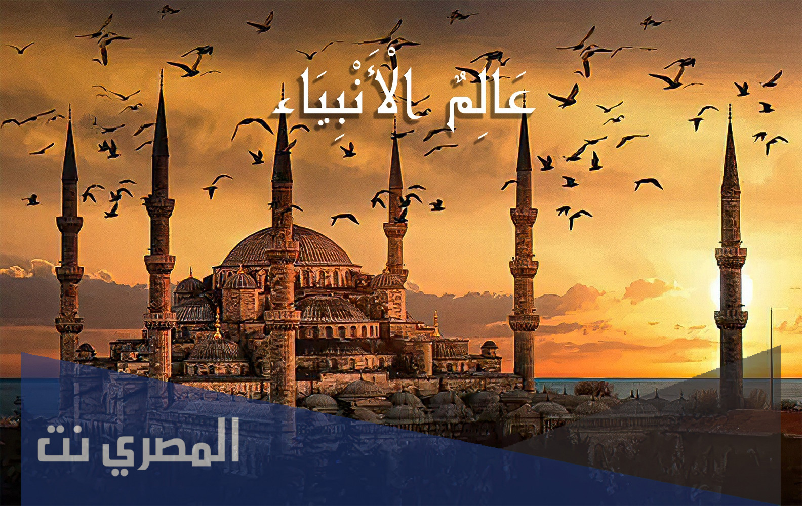 من هو النبي الذي حرمت عليه جميع نساء الارض