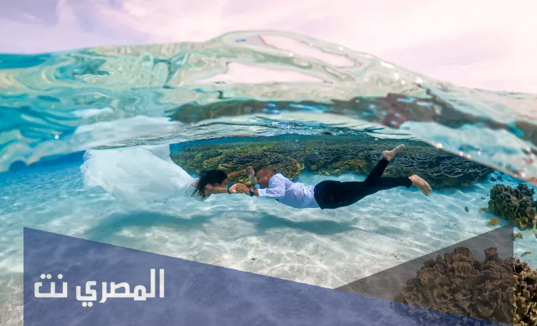 من هو زوج هيا السماري