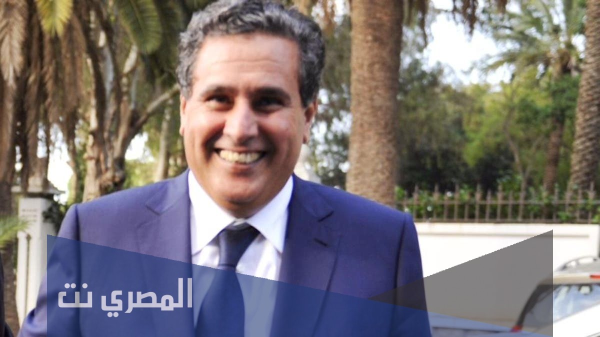 من هو عزيز أخنوش ويكيبيديا
