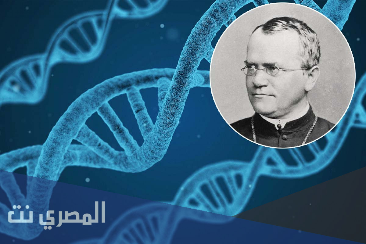 من هو مؤسس علم الوراثة العالم