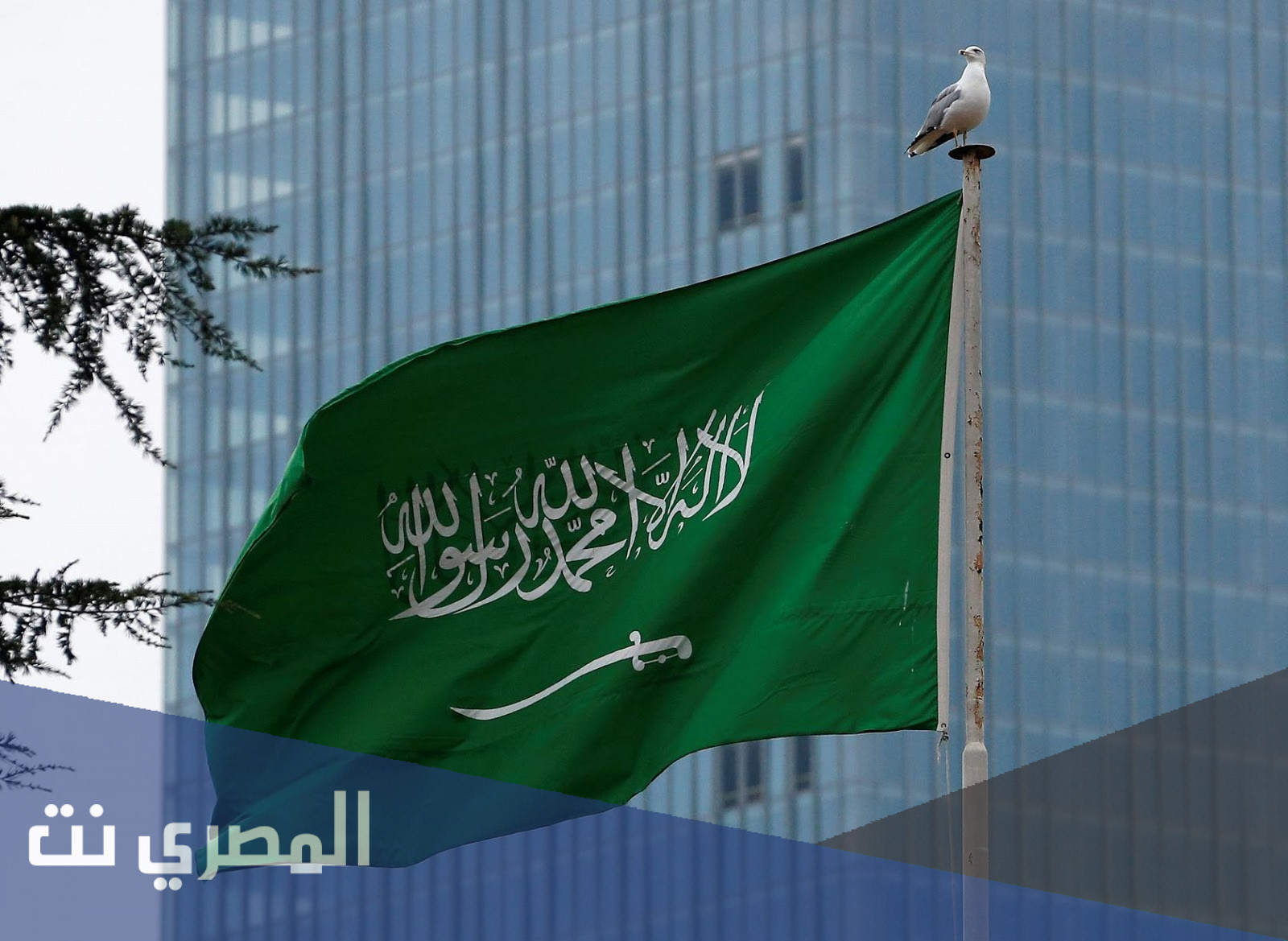 من هو مصمم العلم السعودي