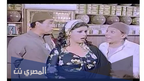 من هي زيزي فريد ويكيبيديا