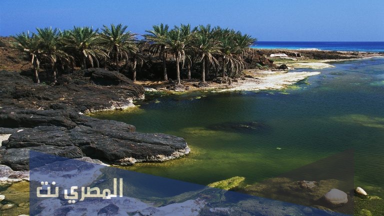 لماذا سميت حضرموت بارض اللبان