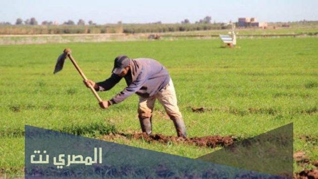 موضوع تعبير جديد عن الفلاح المصري 2021