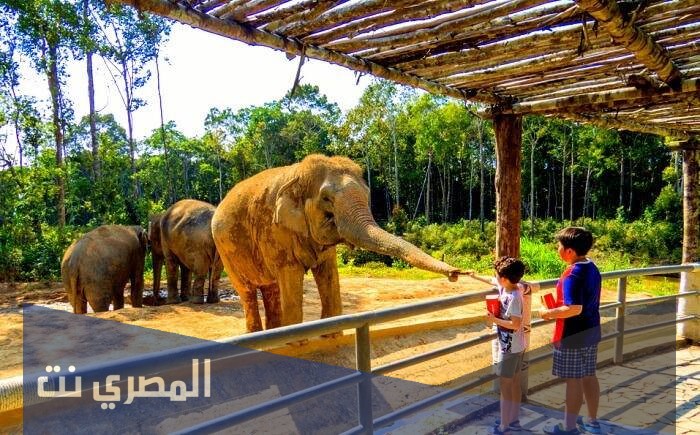 موضوع تعبير جديد عن حديقة الحيوان 2021