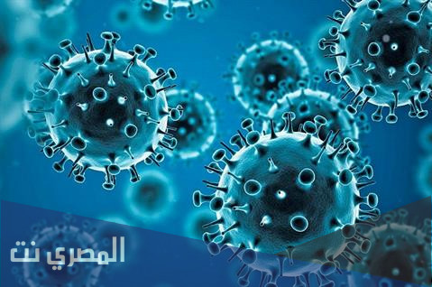 ما هي الافعال التي لو قمنا بها لا يصيبنا فيروس كورونا