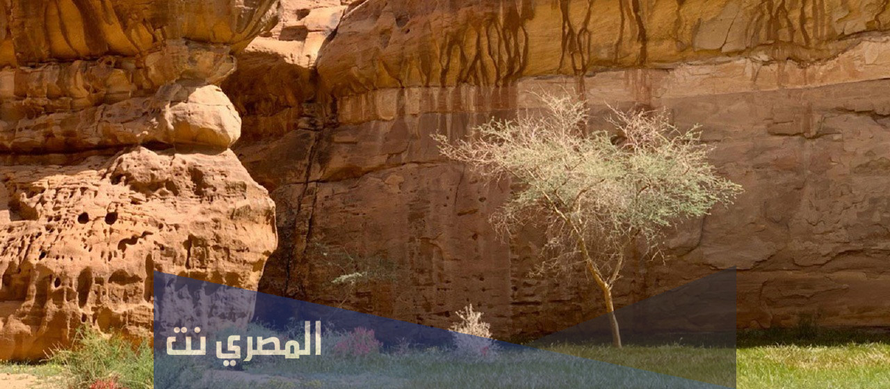محمية أطلقها سمو سيدي تهدف للحفاظ على الحياة الفطرية وأحد مشاريعها أكبر صندوق عالمي من نوعه لحماية النمر العربي والتي أثمر عنها ولادة شبل جديد.