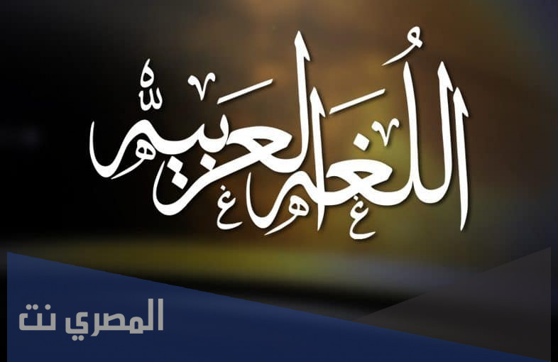أنواع الكلمة في اللغة العربية