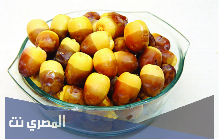 أيهما أفضل صحيـاً الرطـب أم التـمر؟