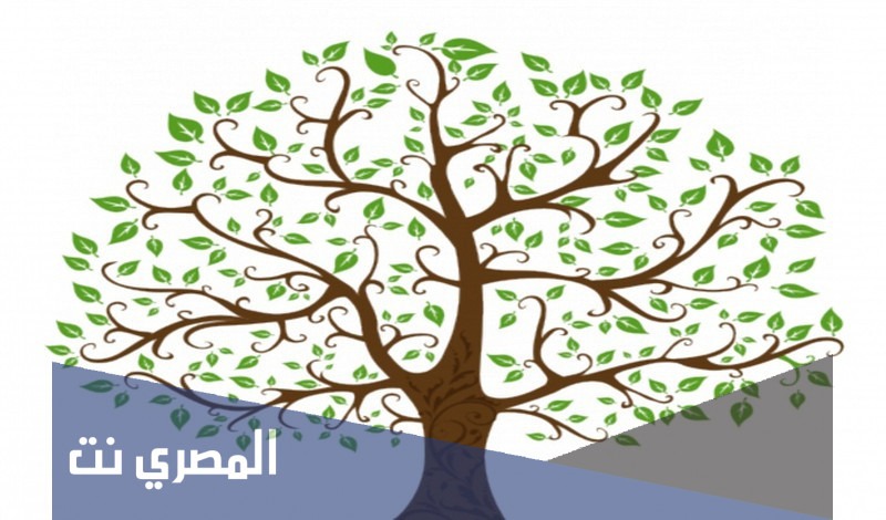 ابا الخيل وش يرجعون