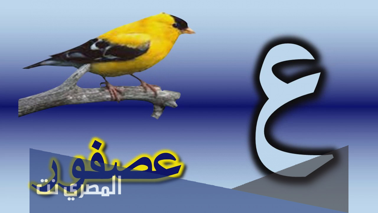 اسم حيوان بحرف العين ع