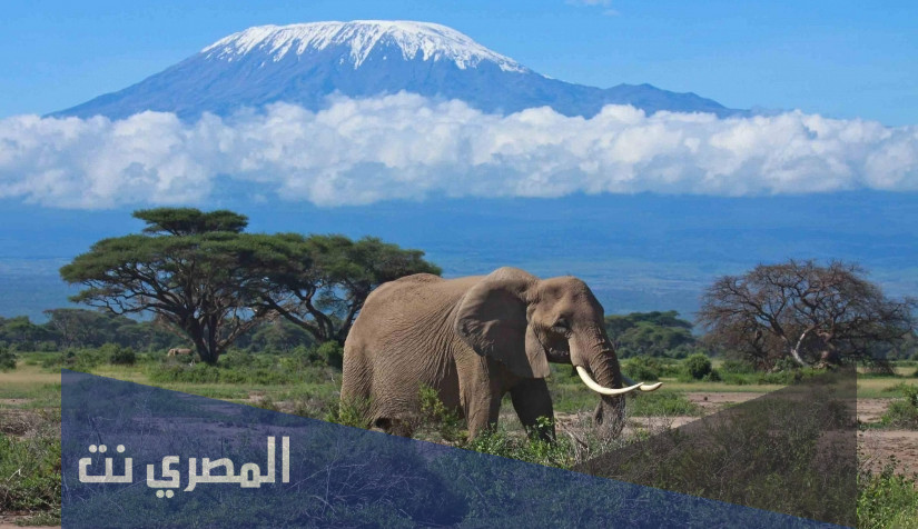 أفضل 8 وجهات سياحية في القارة الأفريقية