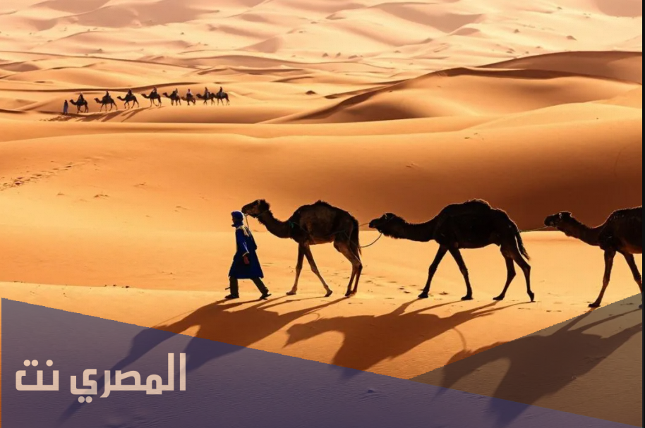 الجاسر وش يرجعون