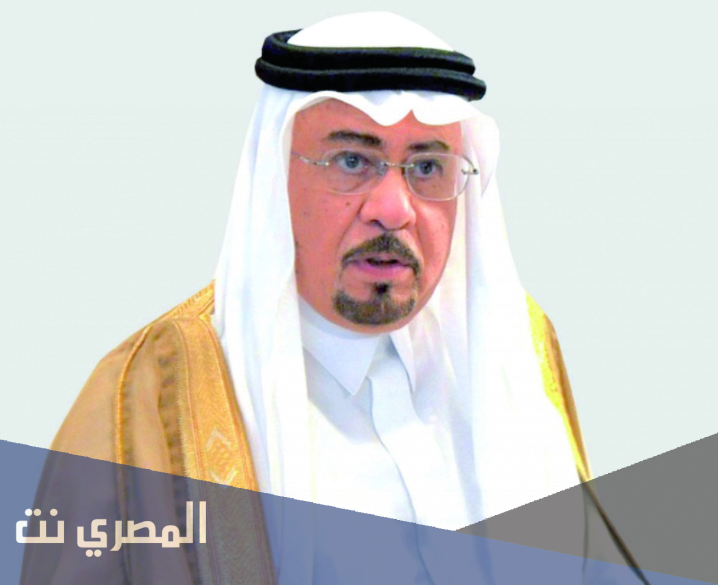 من هو محمد رضا نصر الله