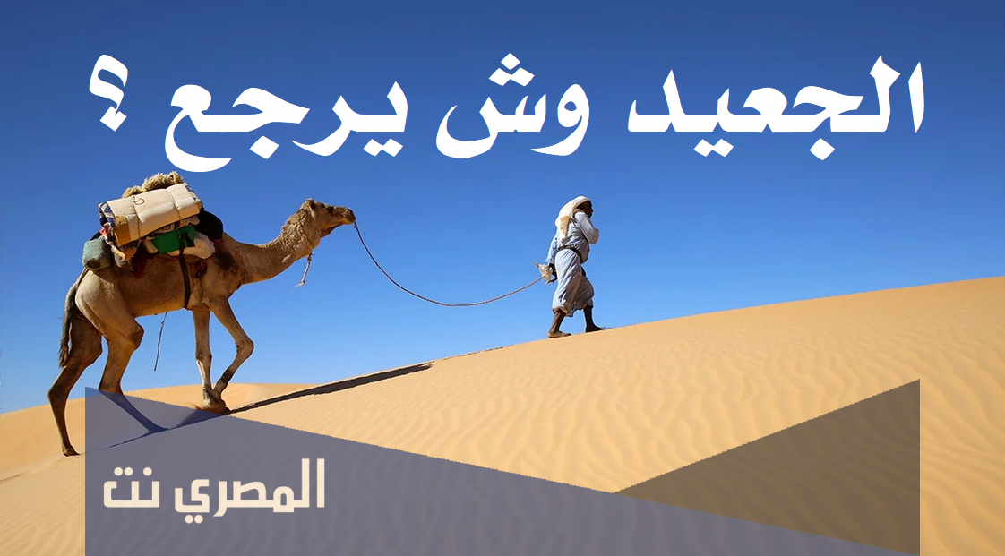 الجعيد وش يرجع