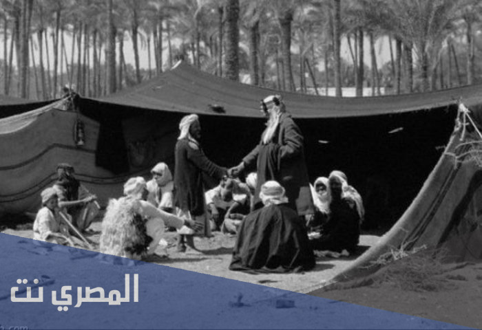 الراجحي وش يرجعون