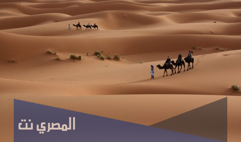 الرهيدي وش يرجعون