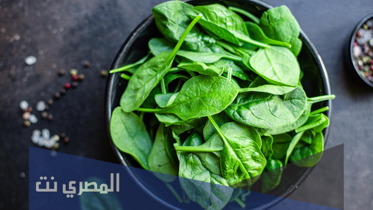 السبانخ