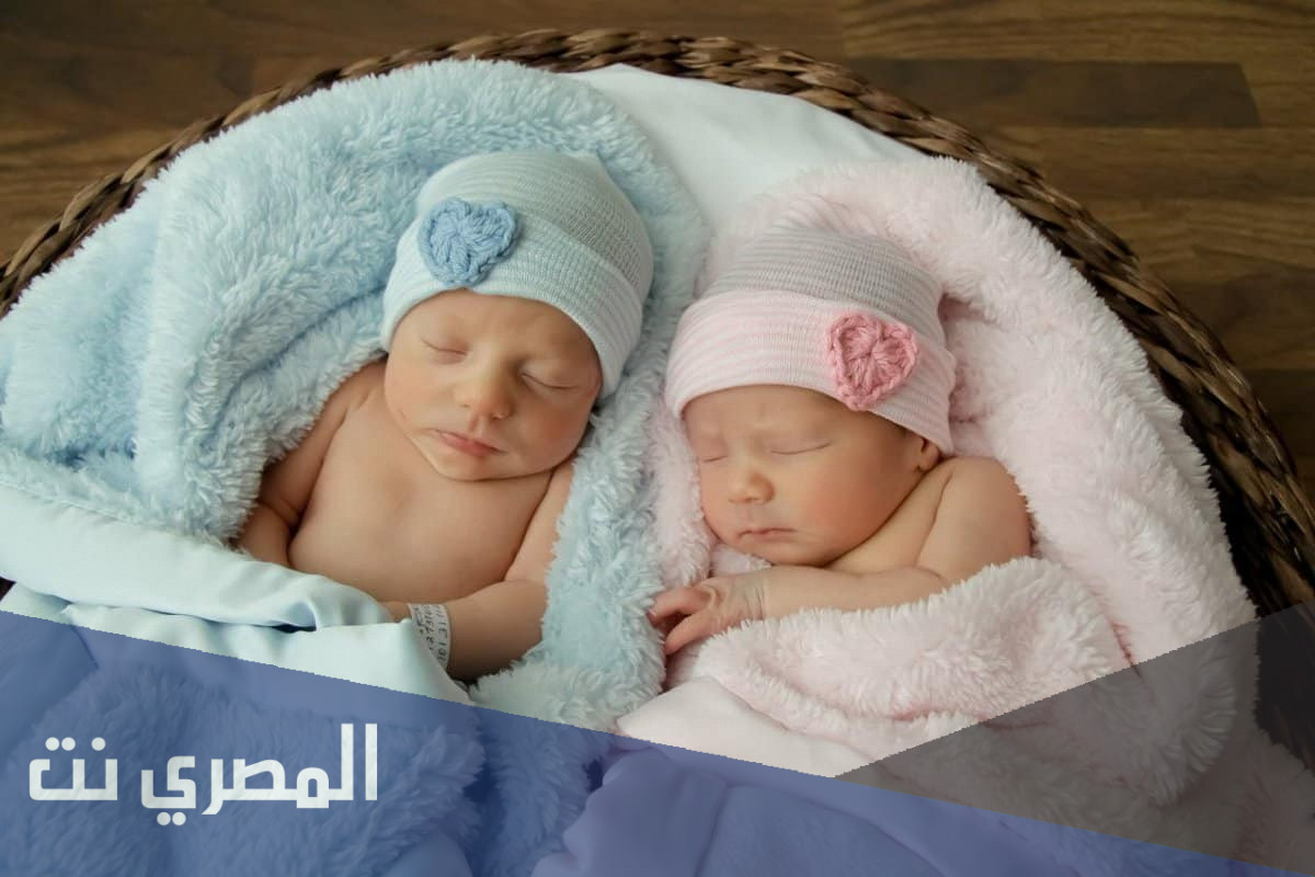 الفرق بين سونار البنت والولد في الشهر الثالث