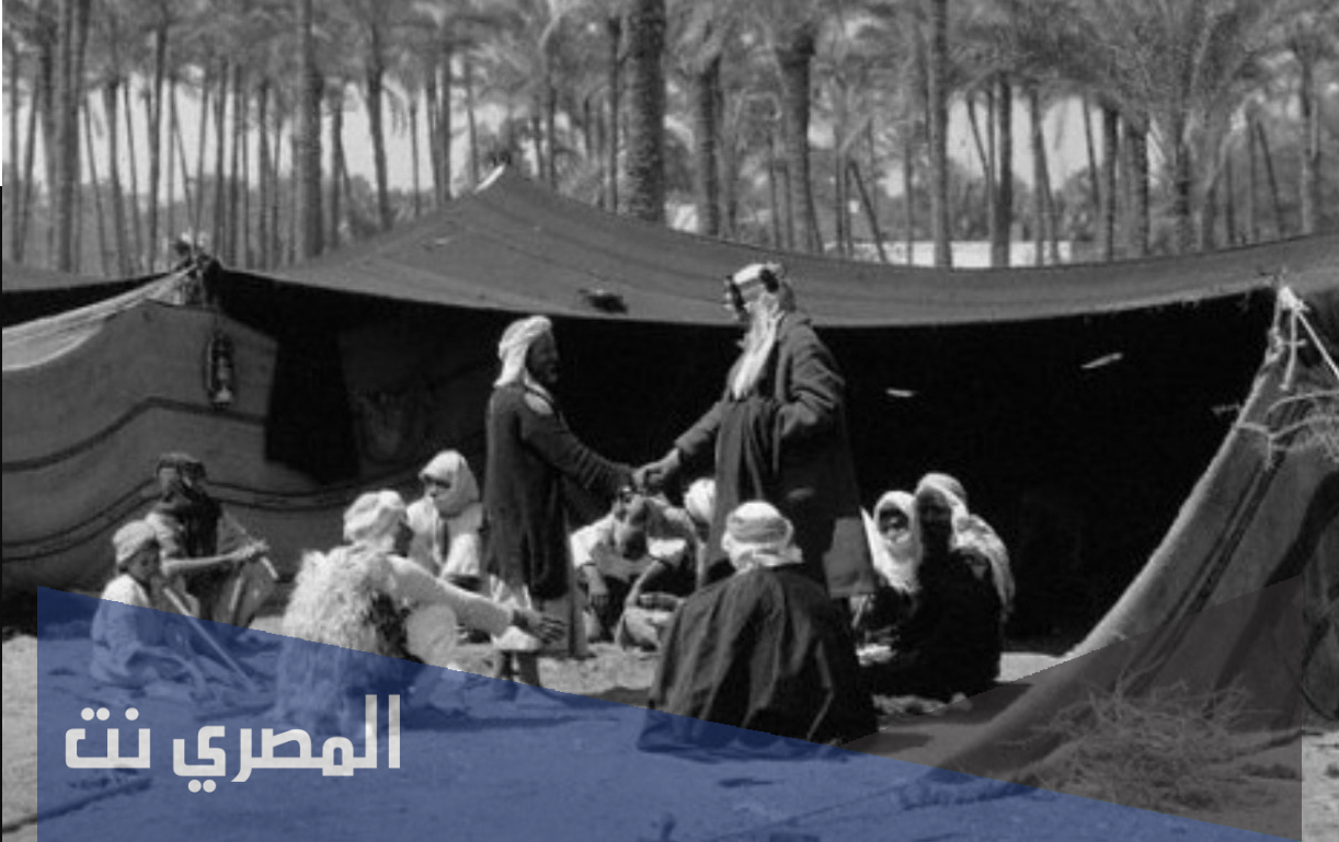 الفريدي وش يرجع