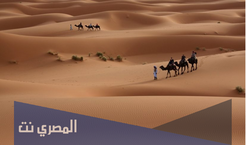المالكي وش يرجع