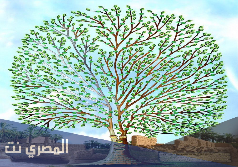 المانع وش يرجعون