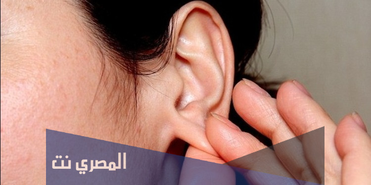 اين تباع شحمة الأذن