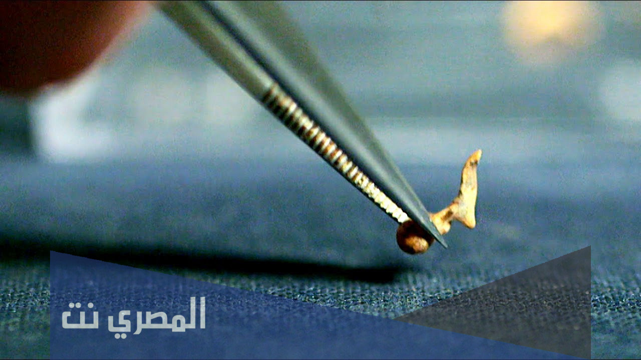 اين تقع اصغر عظمة في جسم الانسان