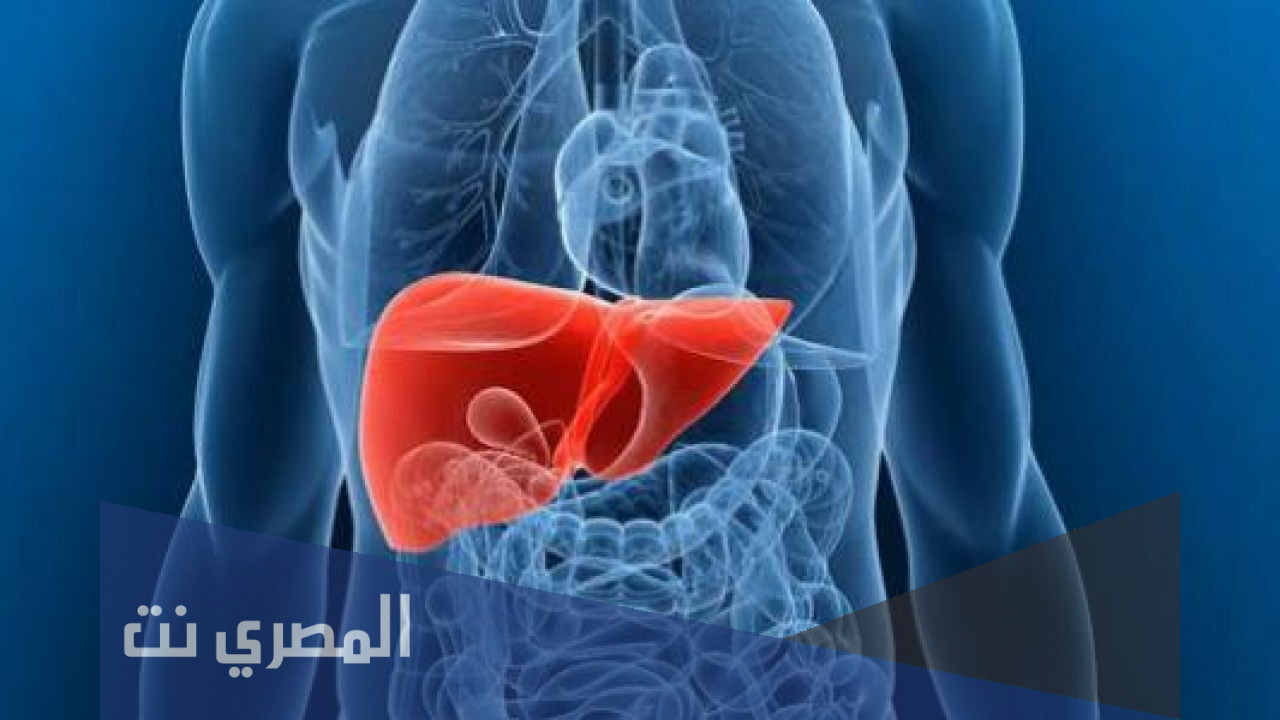 اين تقع المرارة في جسم الانسان