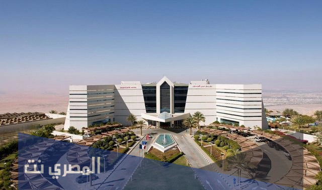 اين تقع مدينة العين في الامارات
