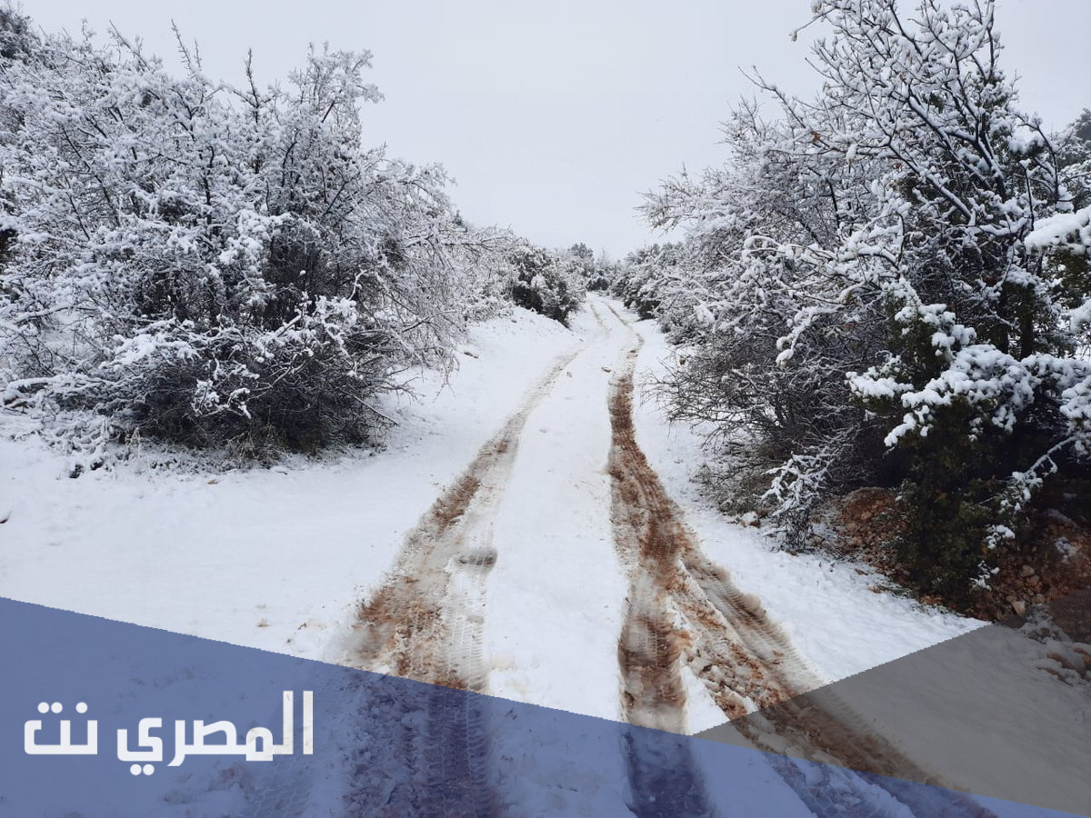 اين تقع منطقة شليفا في لبنان