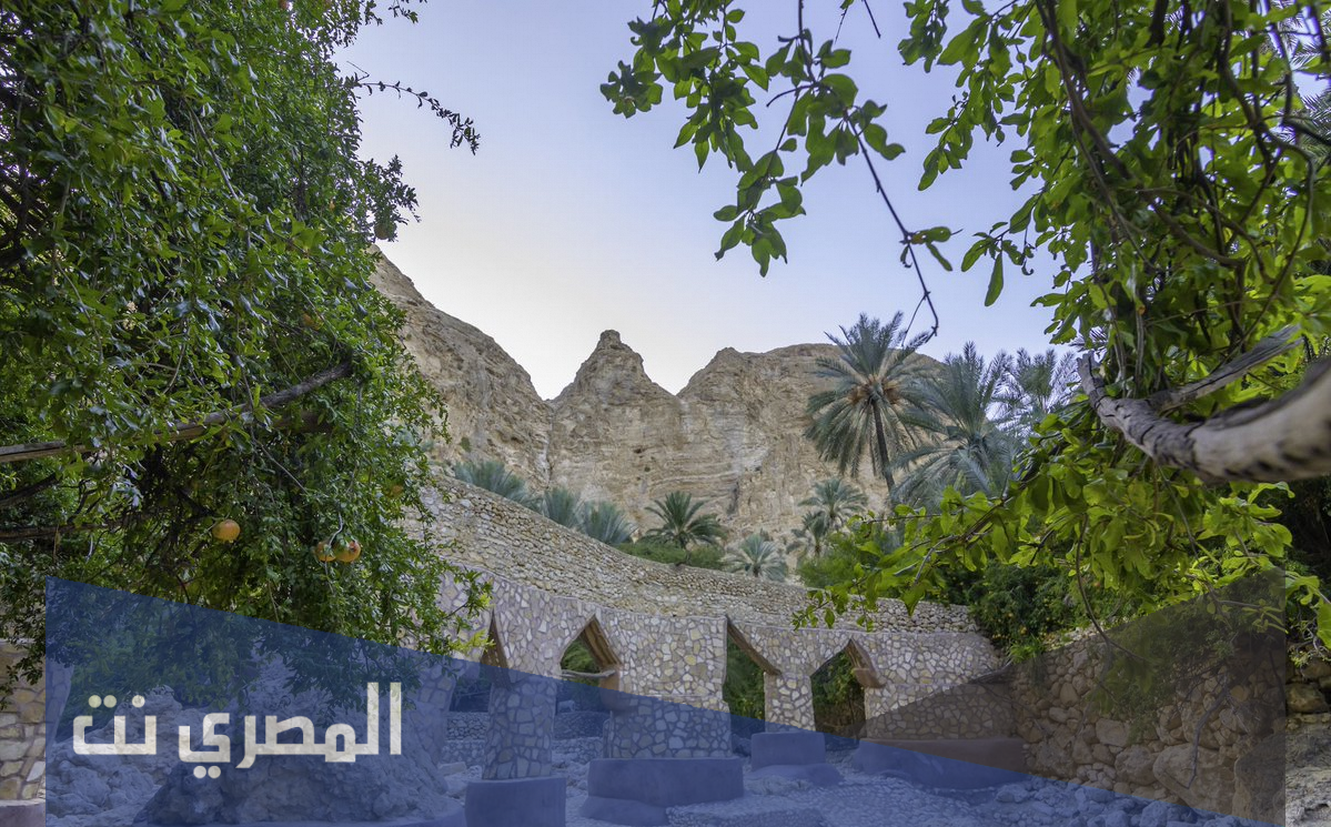اين تقع نيابة طيوي