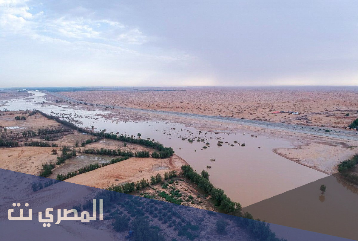 اين يقع نهر سيحون وجيحون