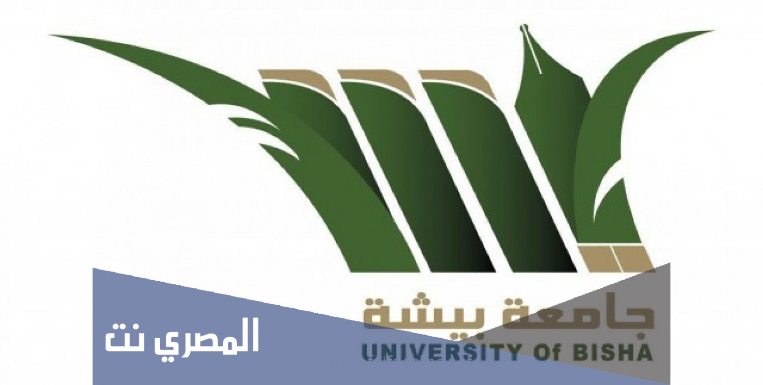 بلاك بورد جامعة بيشه 4 خطوات فقط للتسجيل الكترونيا