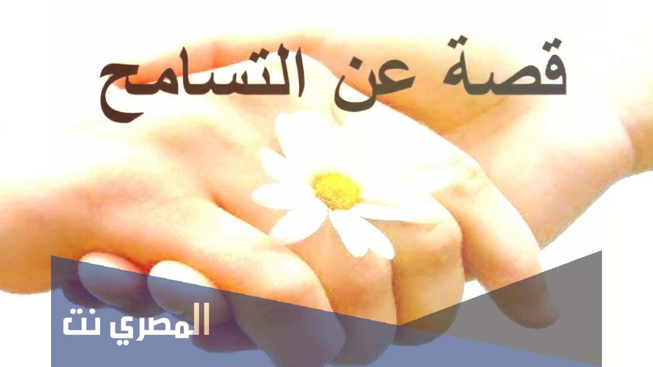 تعبير عن التسامح مقدمة عرض خاتمة