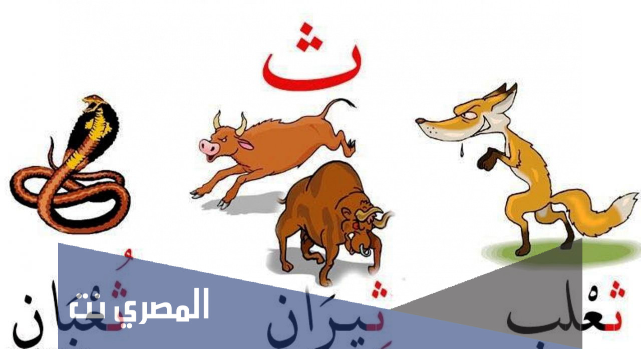 اسم حيوان بحرف ث الثاء واهم المعلومات عن حرف ال ث