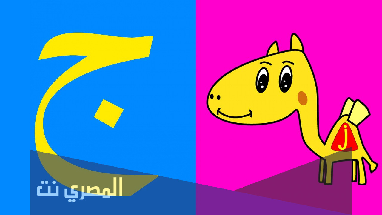 اسم حيوان بحرف ج الجيم واهم المعلومات عنه اسماء الحيوانات بحرف ج