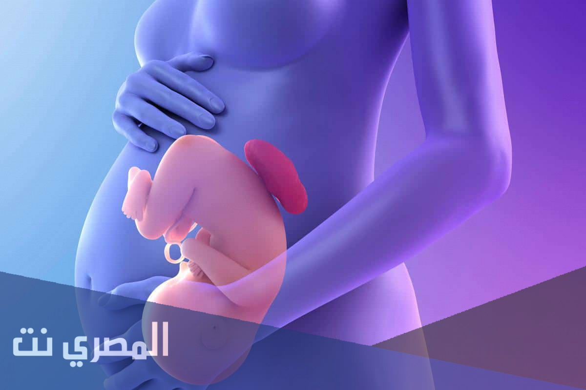 طرق معرفة الجنين في الشهر الرابع