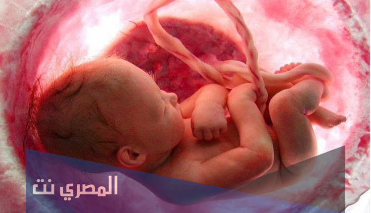 كيفية تغذية الجنين في بطن أمه وأنسب غذاء له