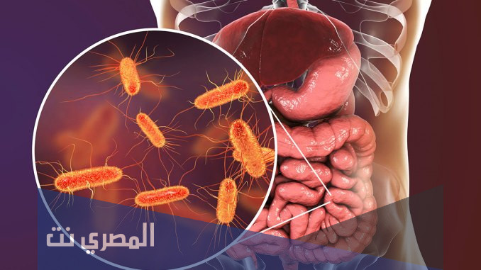 دواعى إستعمال ديستوسيد Distocide لعلاج الديدان الشريطية والجرعة المطلوبة