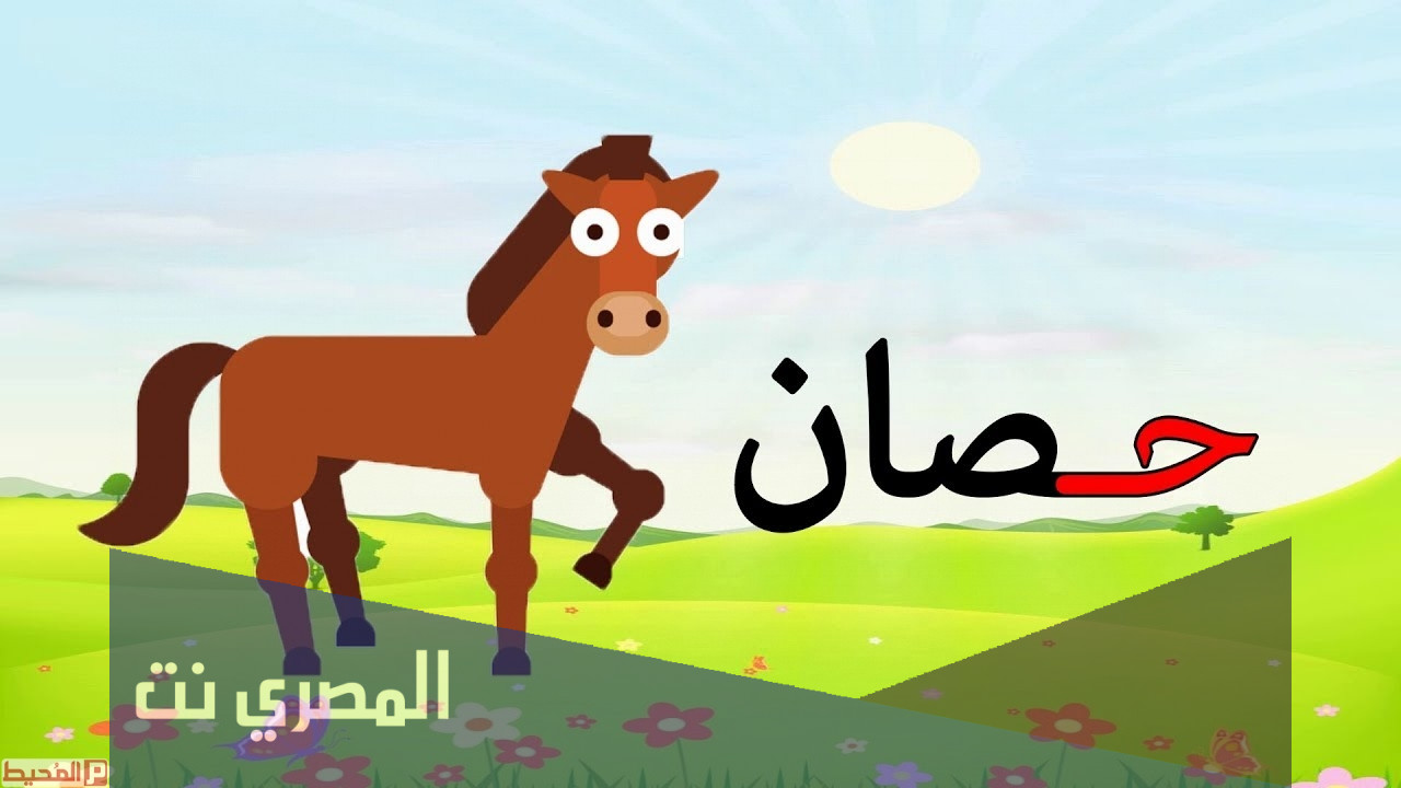 اسم حيوان بحرف ح الحاء وأهم المعلومات عن اسماء الحيوانات المعروفة