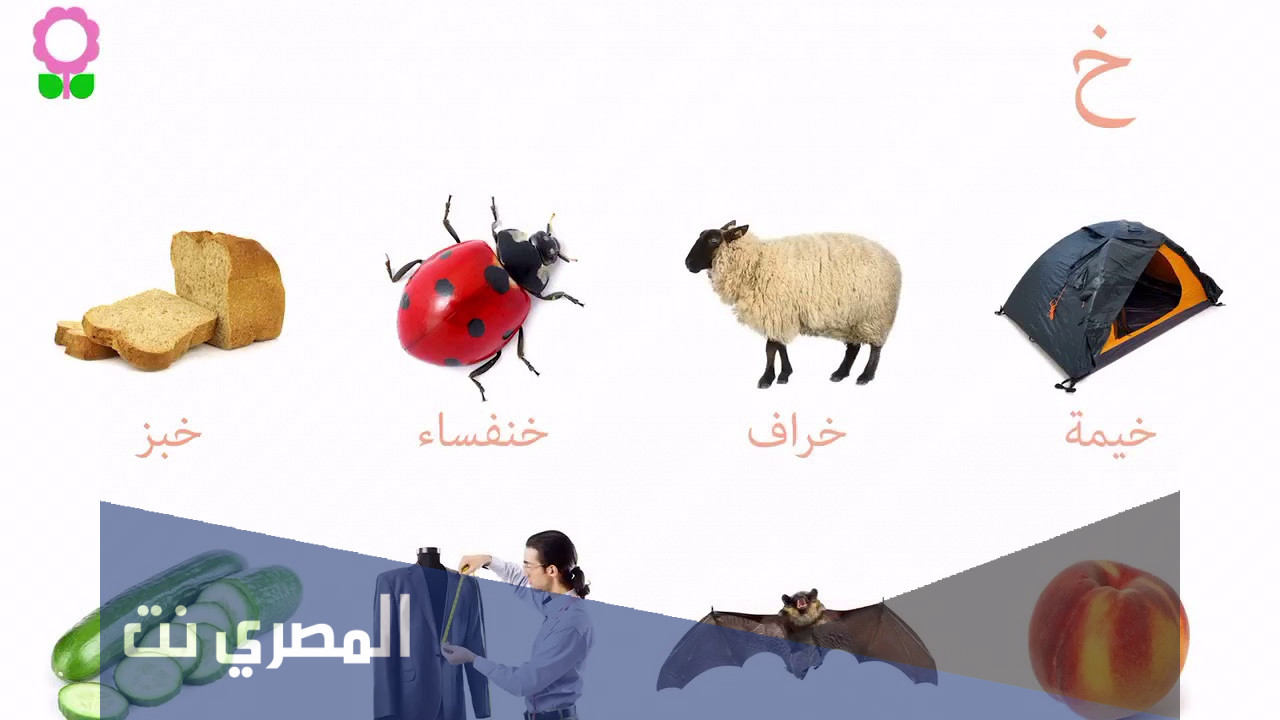 اسم حيوان بحرف خ الخاء واهم المعلومات عن الحرف