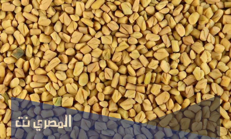  الآثار الجانبية للحلبة على الحامل وفوائدها