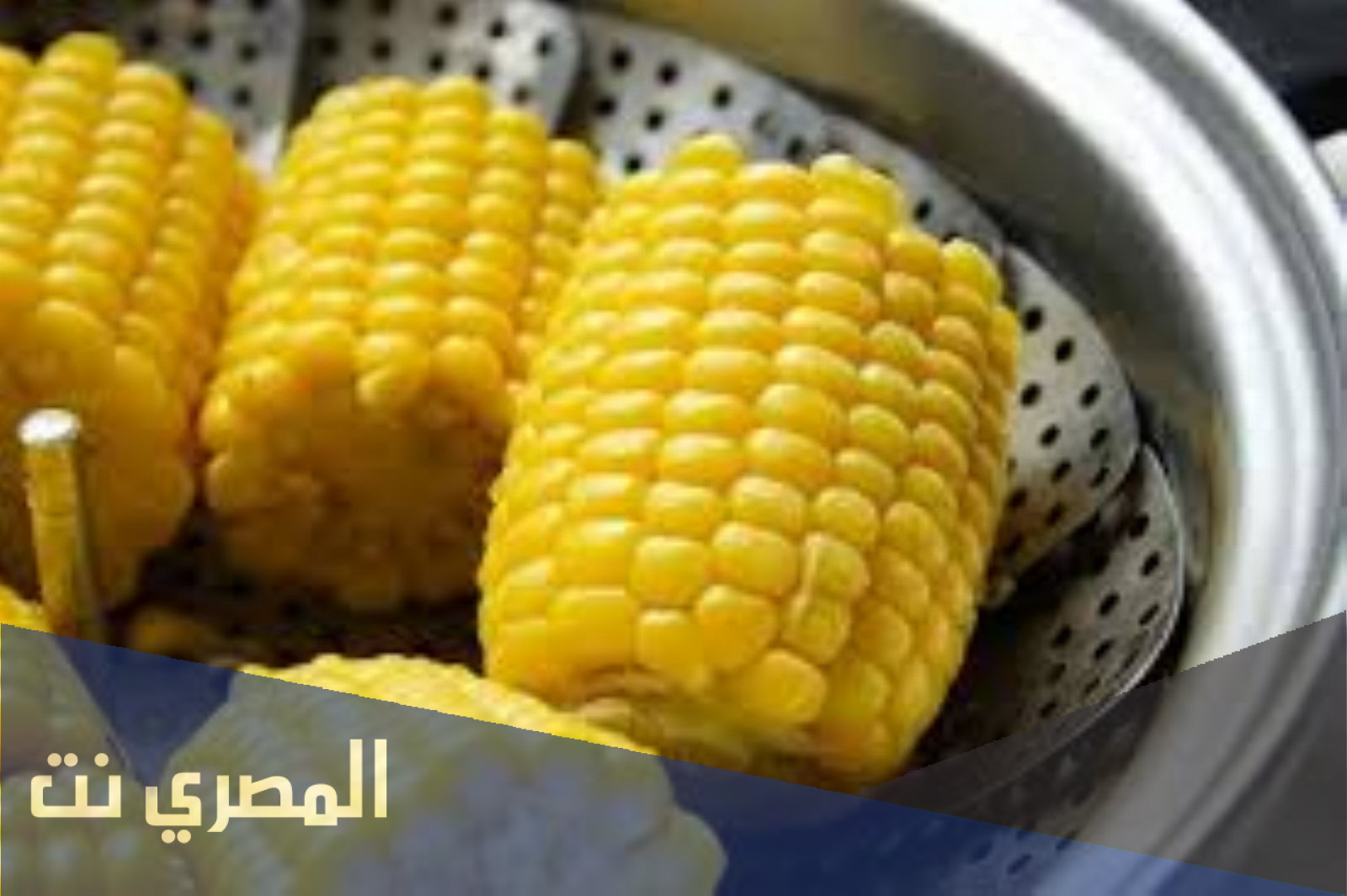تعرف على المكونات الغذائية للذرة الصفراء 2022
