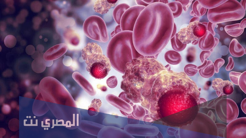 دواعي استخدام دونامايسين Daunomycin علاج سرطان الدم 2022