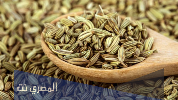 شاي الشمر أثناء الحمل هذا ما يجب أن تعرفه الأمهات الحوامل عن شاي الشمر